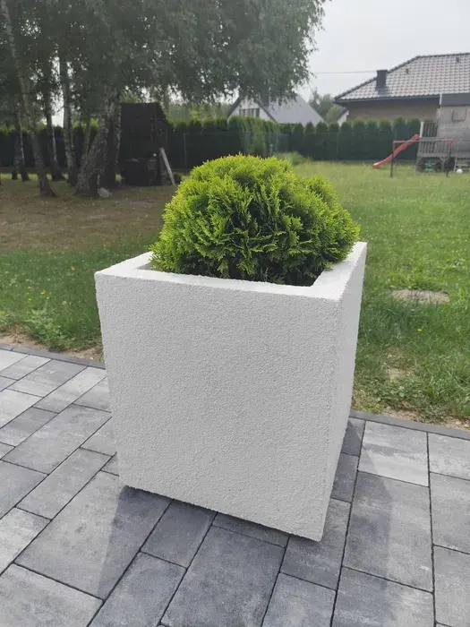 Zdjęcie 4 ogłoszenia