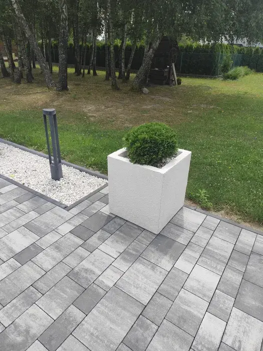 Zdjęcie 5 ogłoszenia